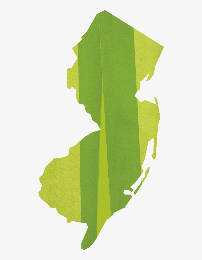 New Jersey Area Team - Plane, transparent png download