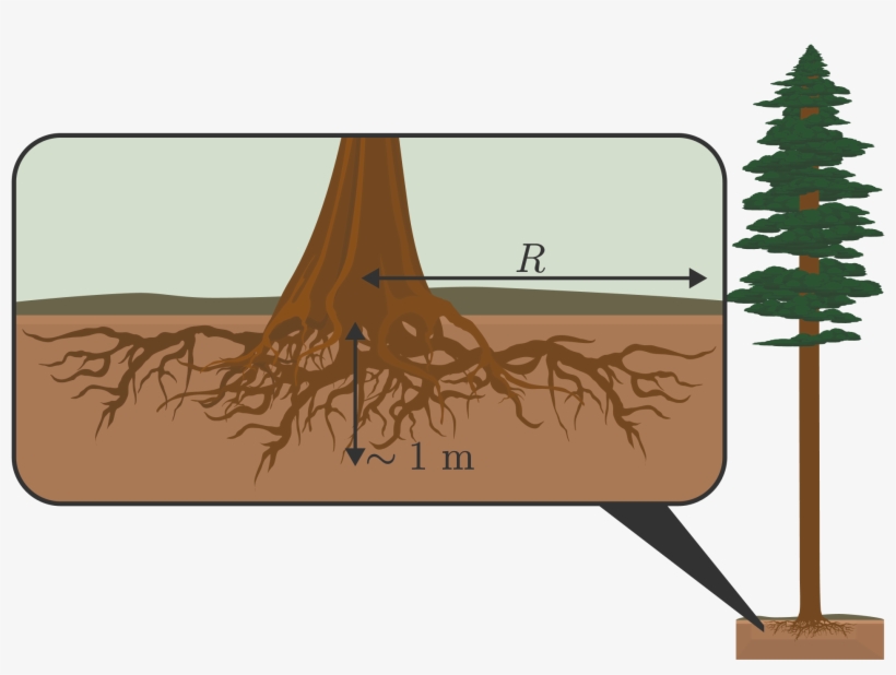 This Soil Is Its Mass Times \ This Weight Generates, transparent png download