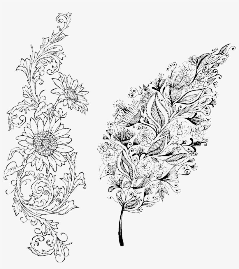 Flower Line Transprent Png Free Download - Line Art, transparent png download