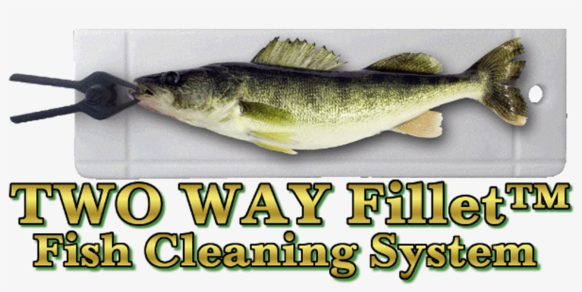 Two Way Fillet™ - Sea Bass, transparent png download