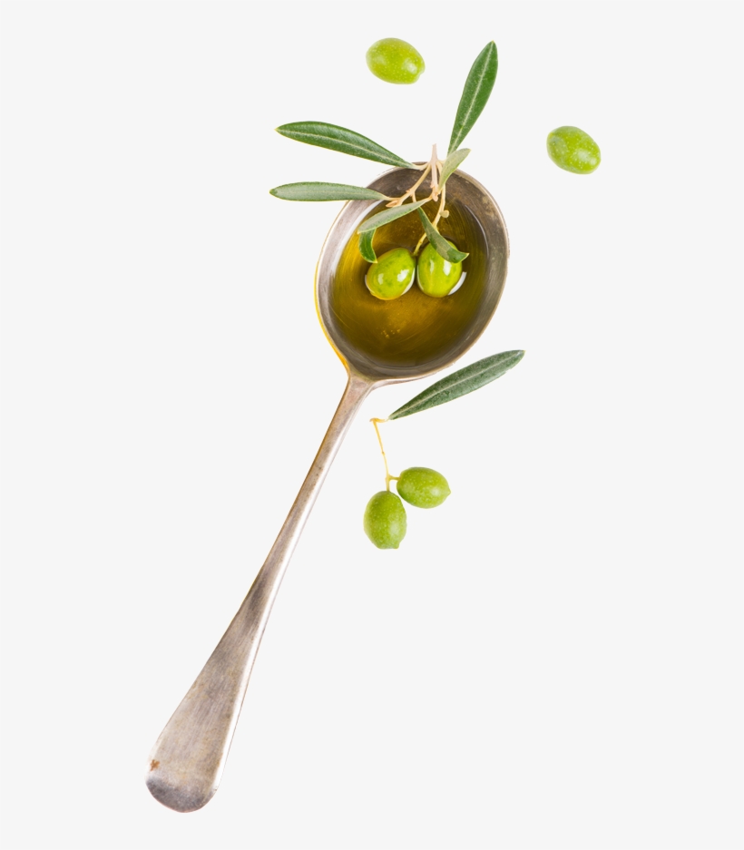 We're Committed To Providing Our Customers The Finest - Olive, transparent png download