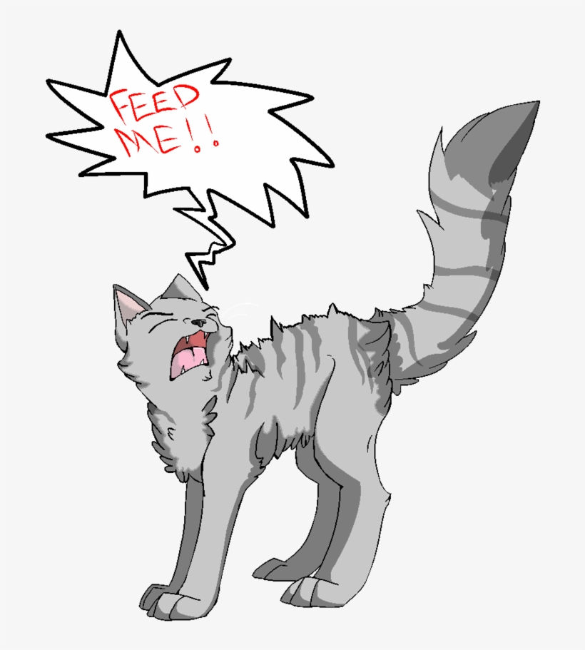 Cartoon Cat Fotos - Cartoon, transparent png download