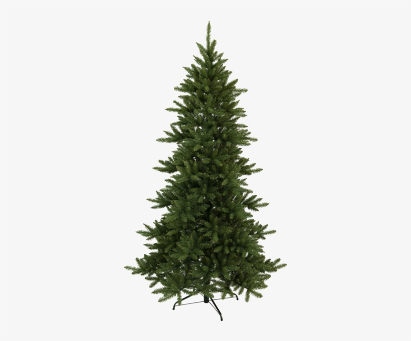 Blue Spruce Christmas Trees, transparent png download