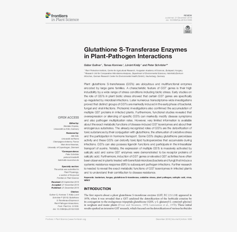 Pdf - Compound Specific Isotope Analysis Of Humic, transparent png download