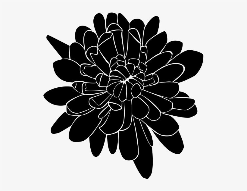Dahlia, transparent png download