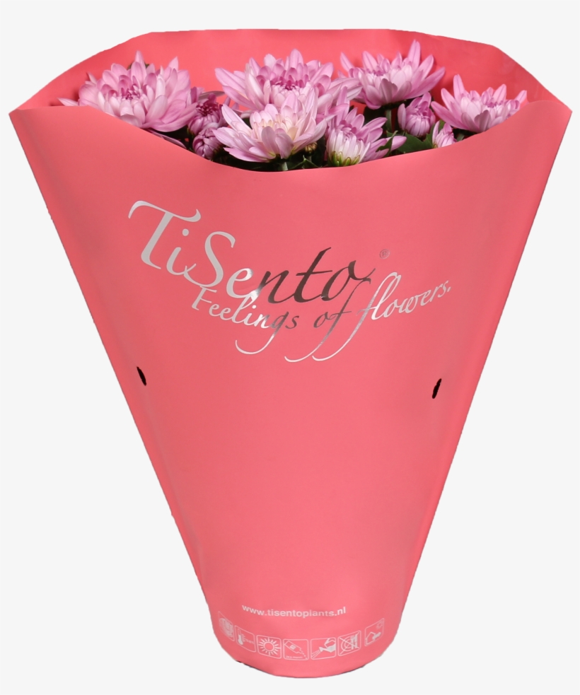 Tisento Never Fails To Surprise With Her Trendy Packaging - Real Estate Company, transparent png download