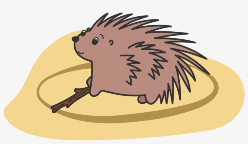 Set Safe Boundaries - Domesticated Hedgehog, transparent png download