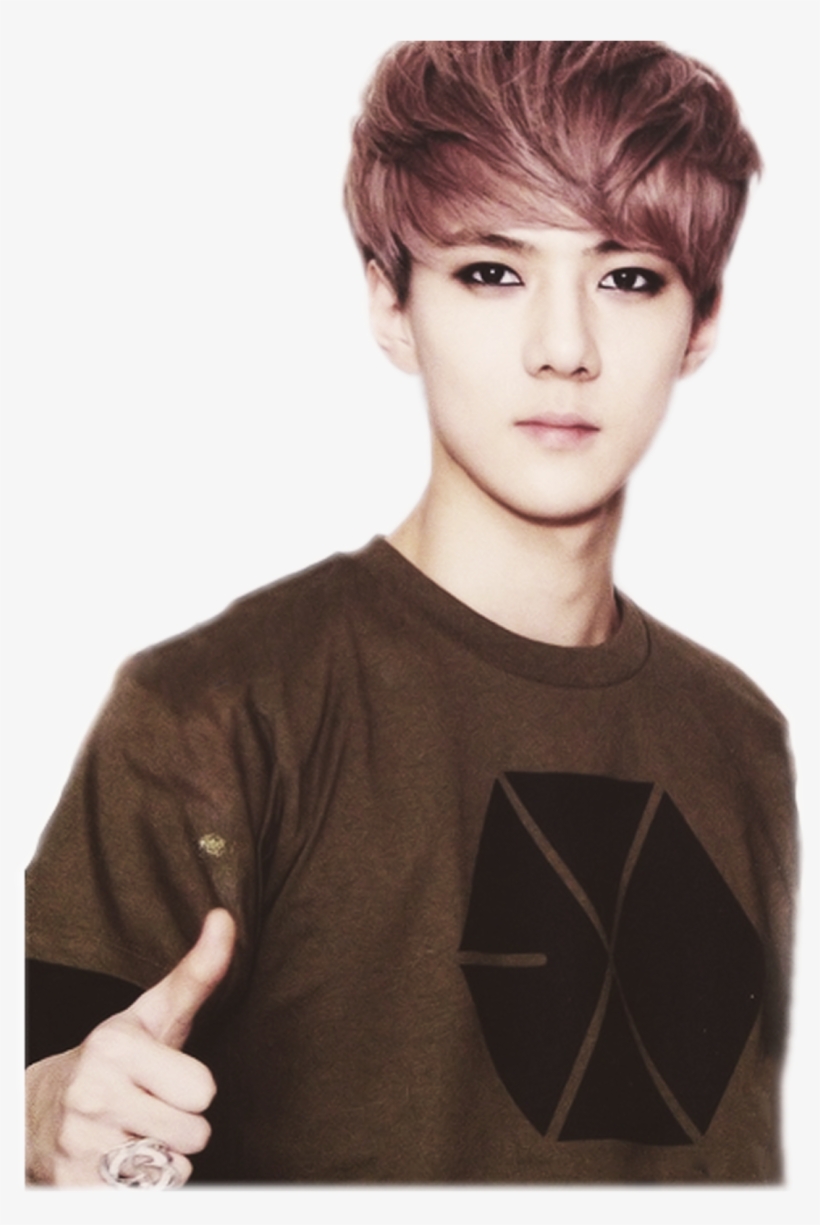 Do Not Claim These Pngs As Yours - Exo Sehuns, transparent png download