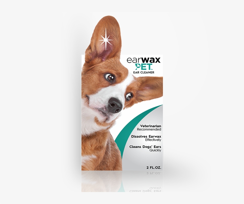 Next - Pembroke Welsh Corgi, transparent png download