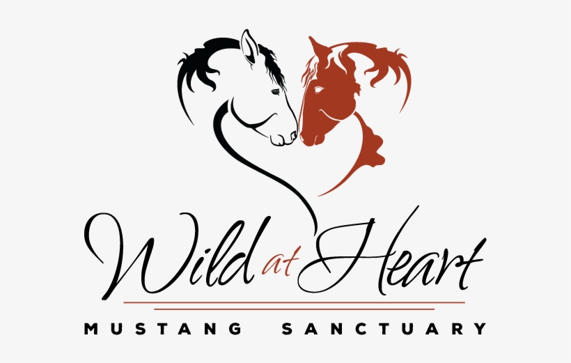 Calligraphy, transparent png download