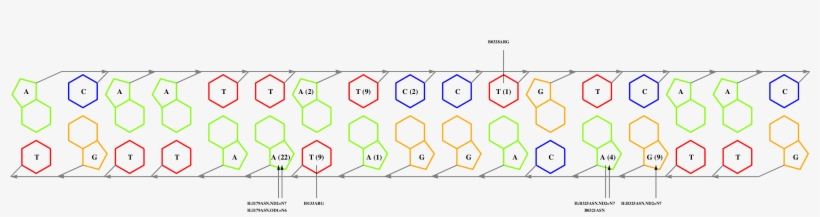 Interface Graph Thumbnail - Diagram, transparent png download