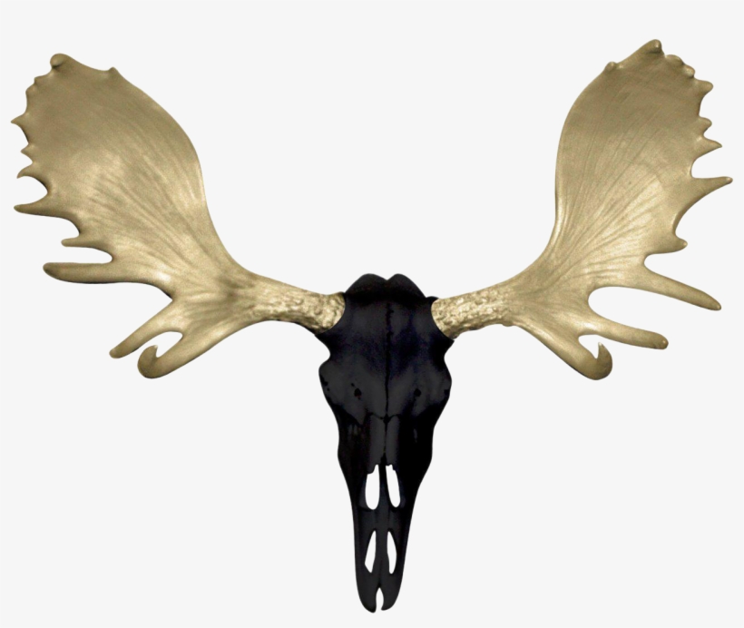 Antler, transparent png download