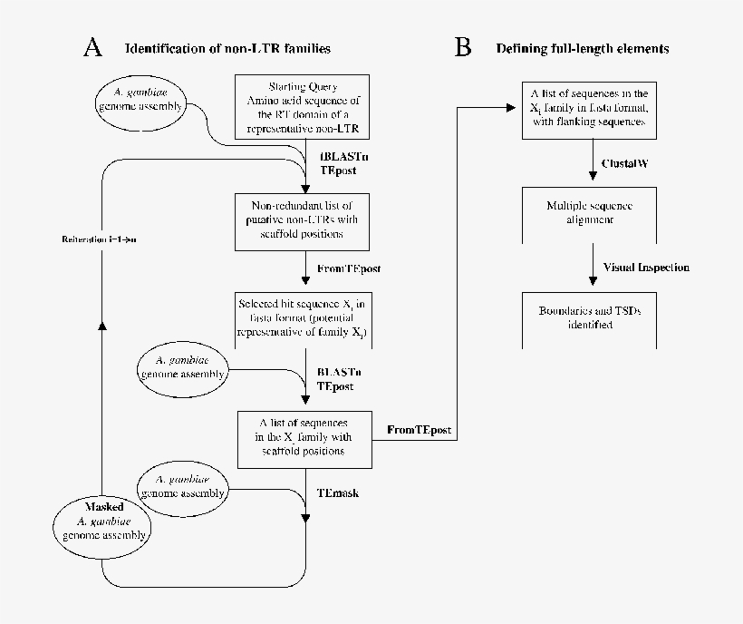 Strategy For The Identification And Characterization - Diagram, transparent png download