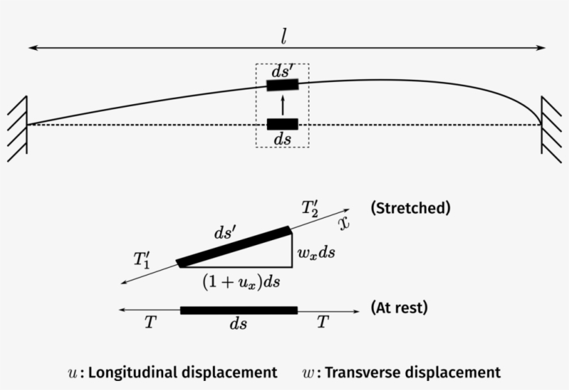 The Forces Acting On An Infinitesimal Element Of The - Vibration Of A String Equation, transparent png download