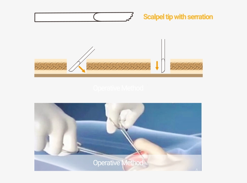 Dentistry, transparent png download