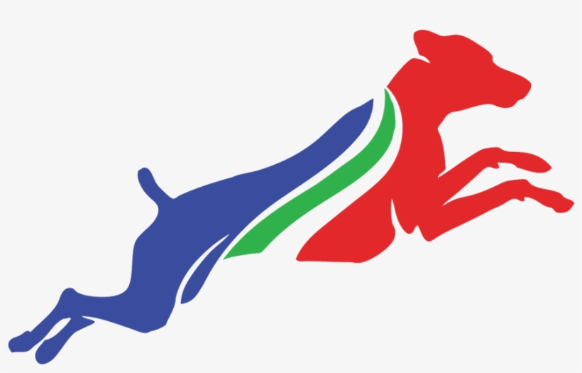 Dock Jumping - Dog, transparent png download