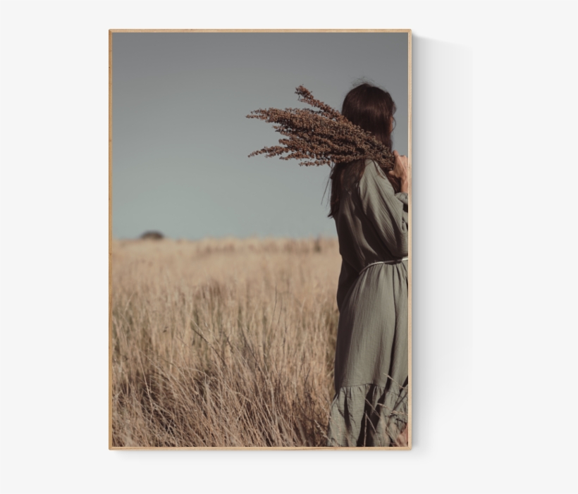 Grass, transparent png download