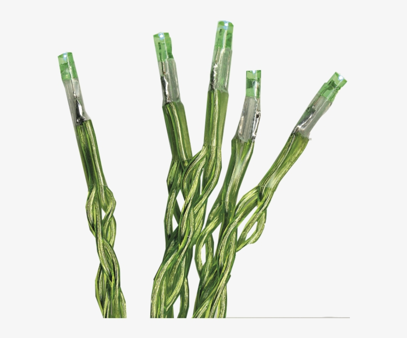 Grass, transparent png download