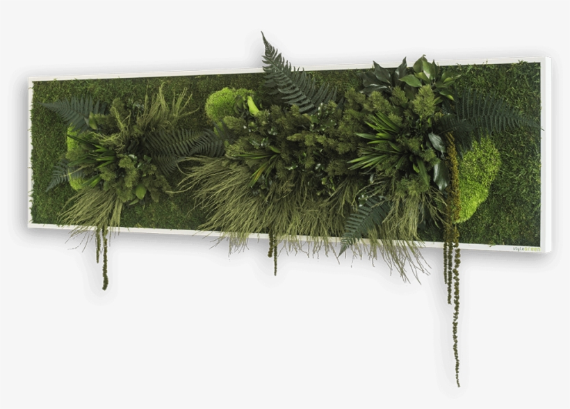 Plant Island Picture - Stylegreen Verticale Tuin, transparent png download