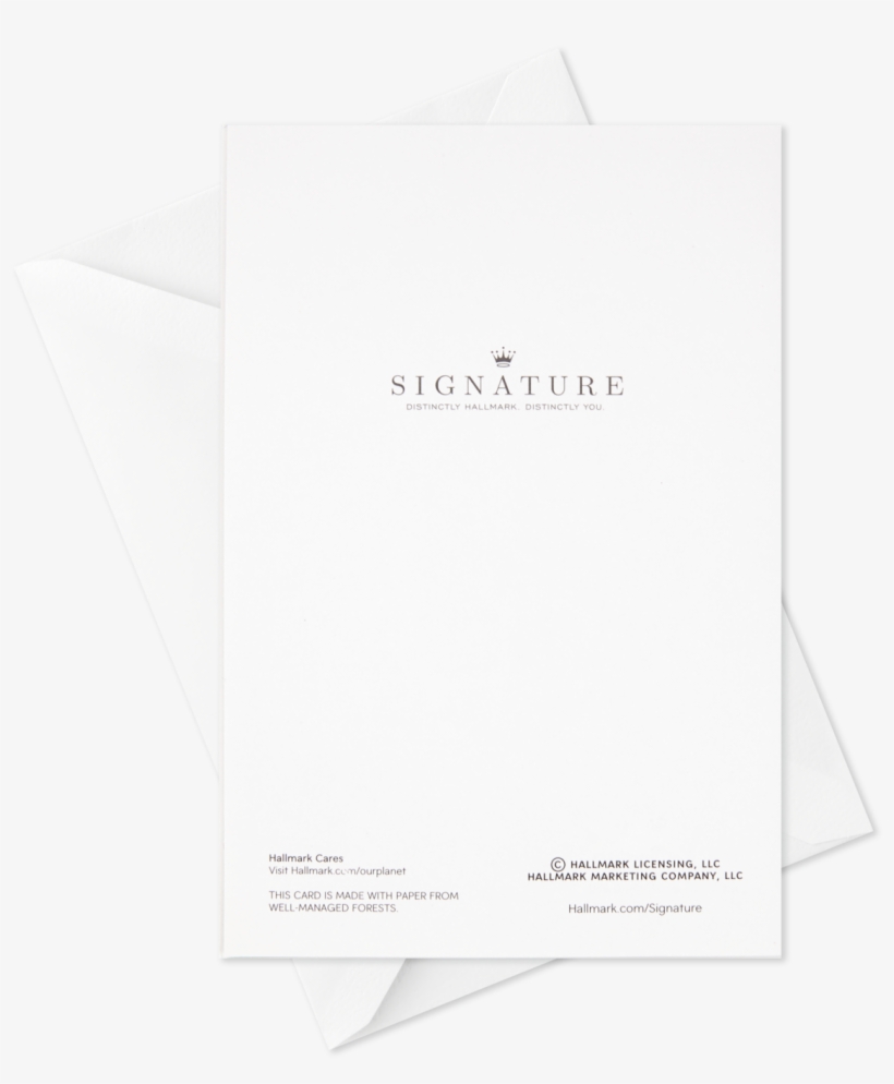 T Rex Clip Art Black And White - Document, transparent png download