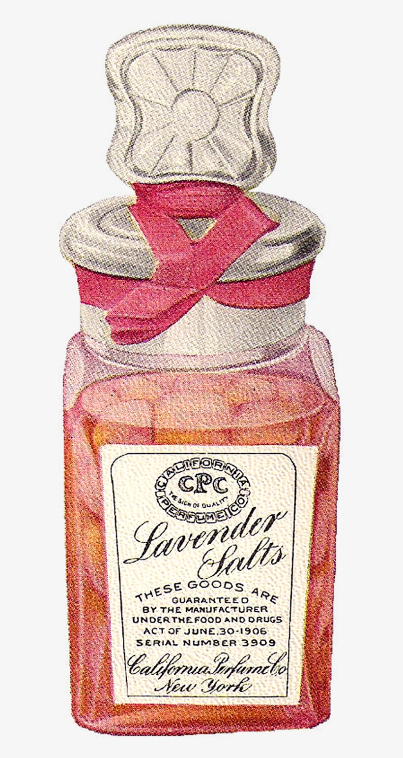 Vintage Beauty Clip Art Download - Vintage Beauty Png, transparent png download