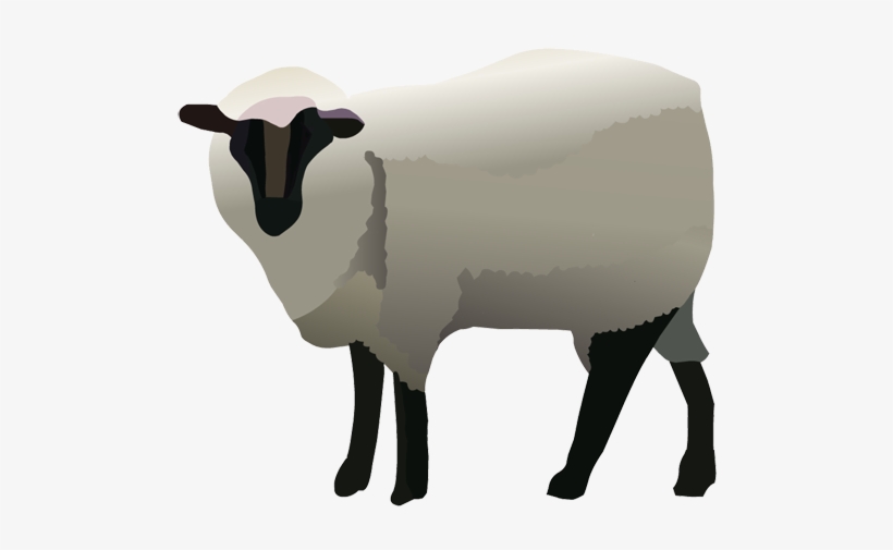 Sheep Clipart Nativity Animal - Sheep, transparent png download