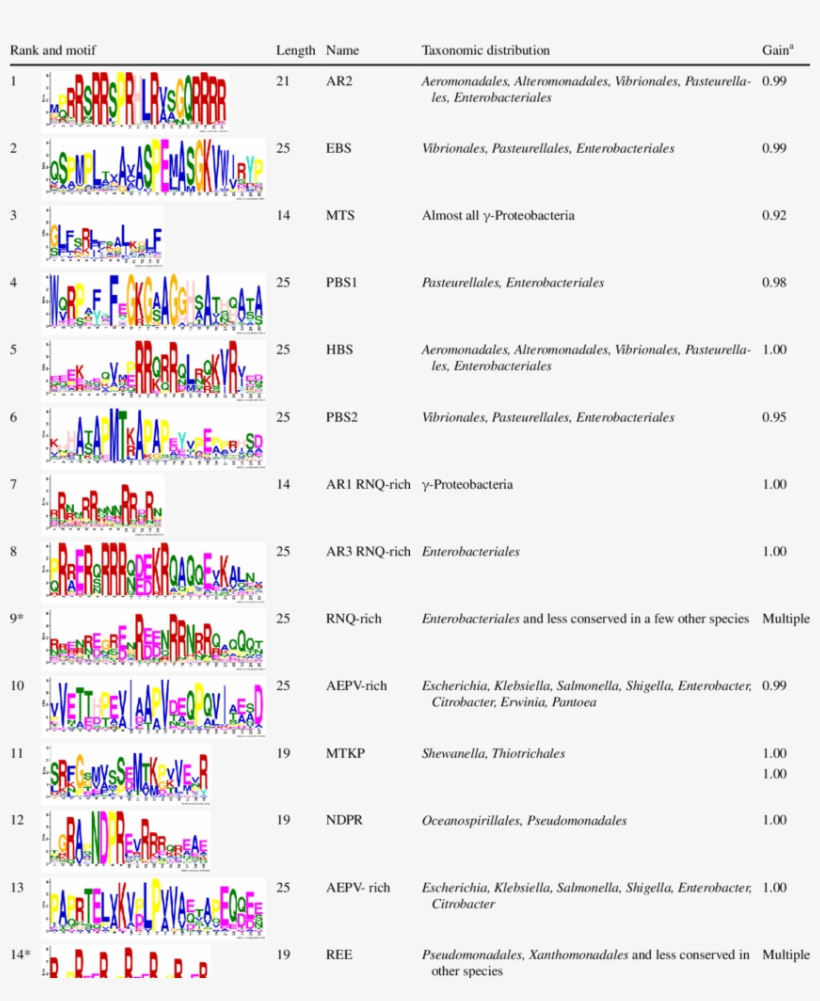 Meme-discovered Motifs In The Noncatalytic Region Of - Color, transparent png download