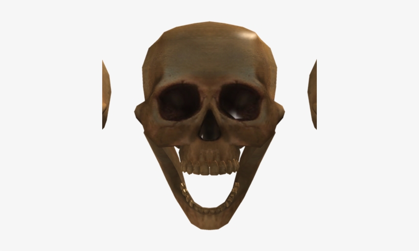 Hylphobia Skulls - Wiki, transparent png download