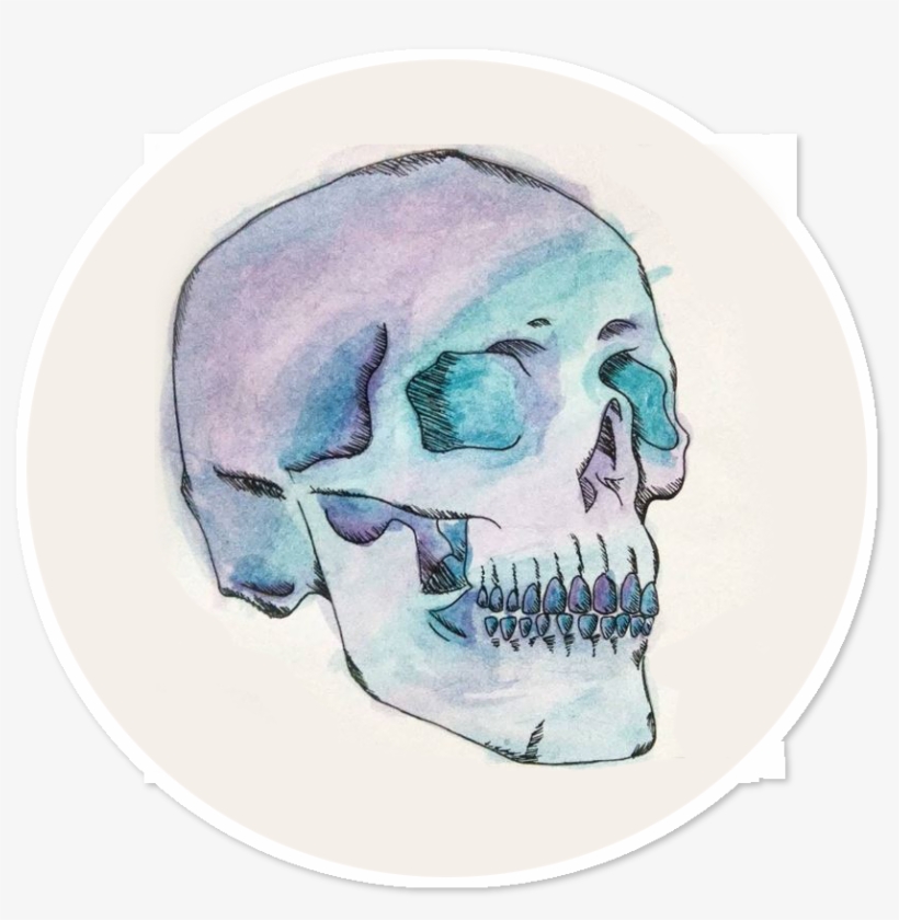 Adesivo Watercolor Skull De Vallentine Andradena - Watercolor Painting, transparent png download
