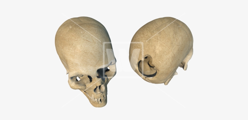 Two Broken Skulls Png - Portable Network Graphics, transparent png download