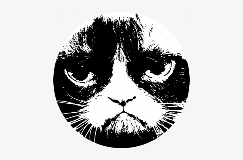 The Revenge Of Folk Politics - Grumpy Cat, transparent png download