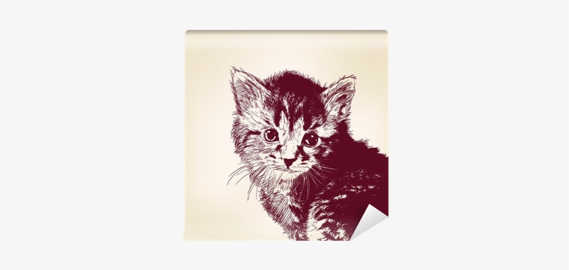 Art Print: Vladischern's Cat Vector Illustration, 30x30cm., transparent png download