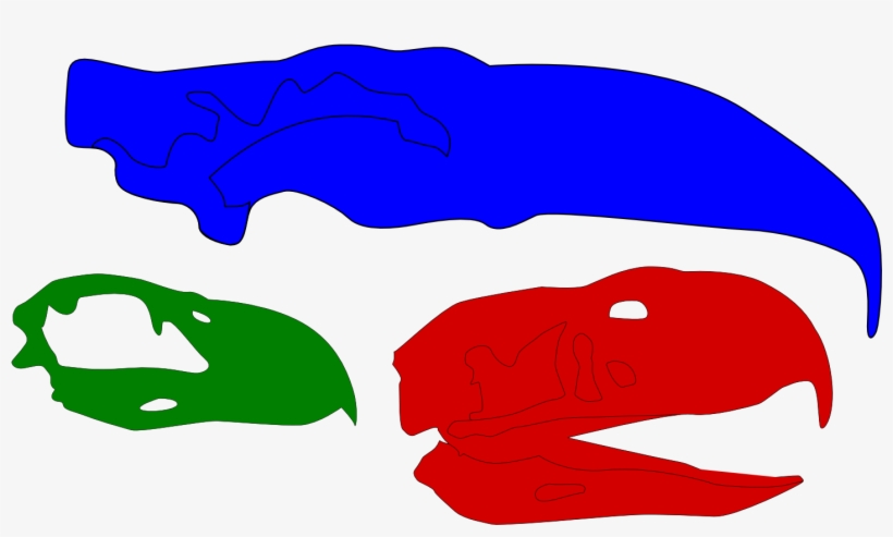 Skulls Of Phorusrhacids - Kelenken Skull, transparent png download