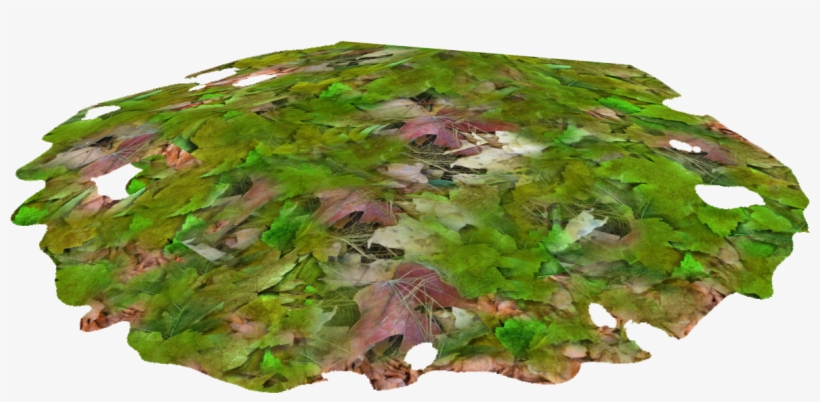 Leaves Pile 3 - Wiki, transparent png download