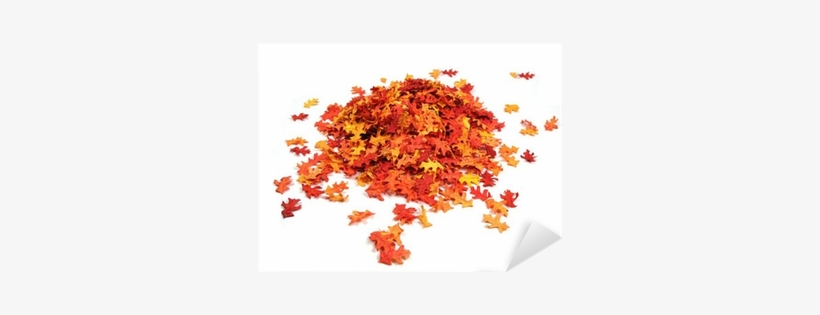 Autumn, transparent png download