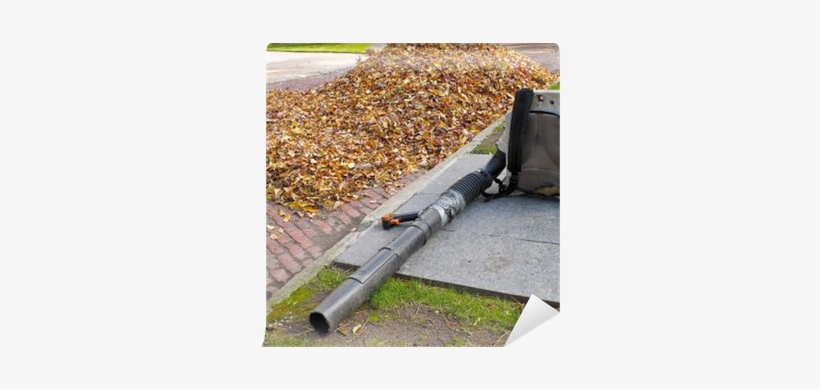 Leaf Blower Beside Pile Of Autumn Leaves Wall Mural - Autumn, transparent png download