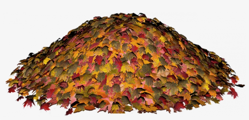 Leaves Clipart, transparent png download