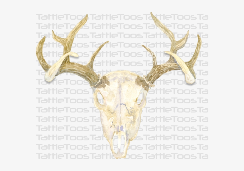 Antlertf - Flowers And Antlers, transparent png download