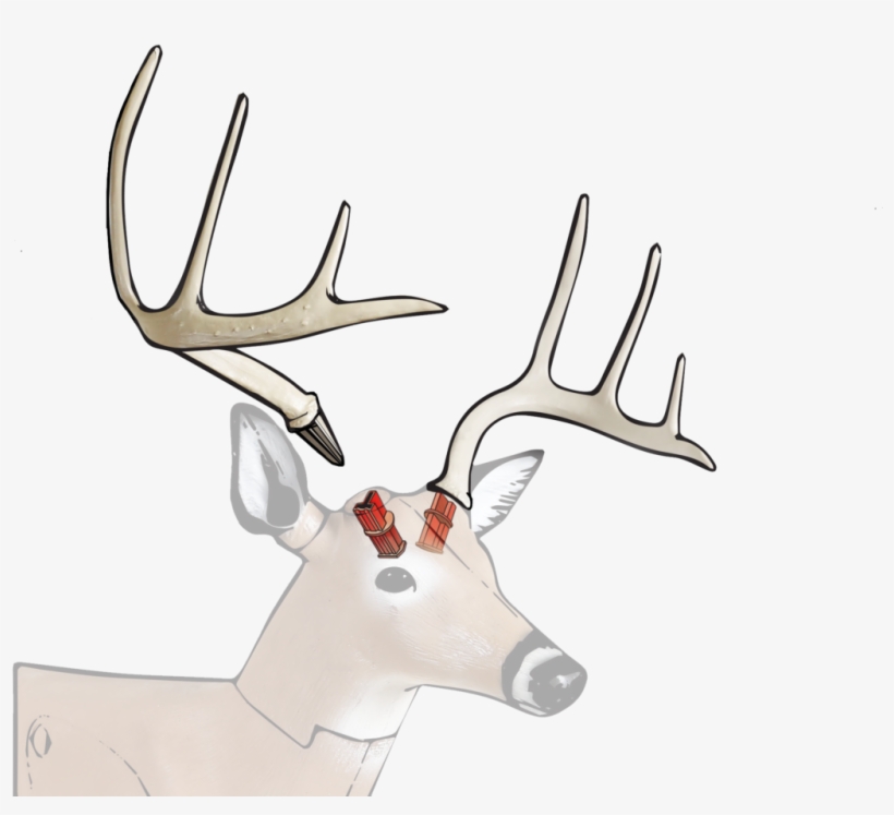 Antler Socket System - Reindeer, transparent png download