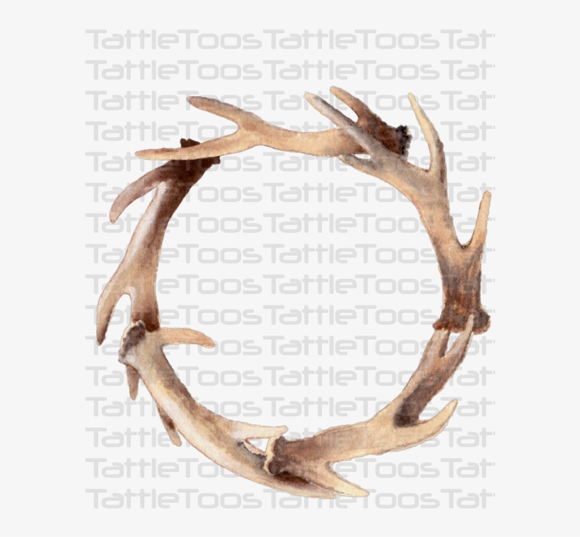 Antlertf - Deer, transparent png download