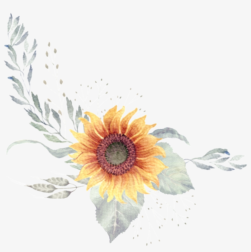 Yellow Watercolor Hand Painted Flower Plant Transparent - Rotwild-geweih U. Grün-save The Date - Quadrat Karte, transparent png download