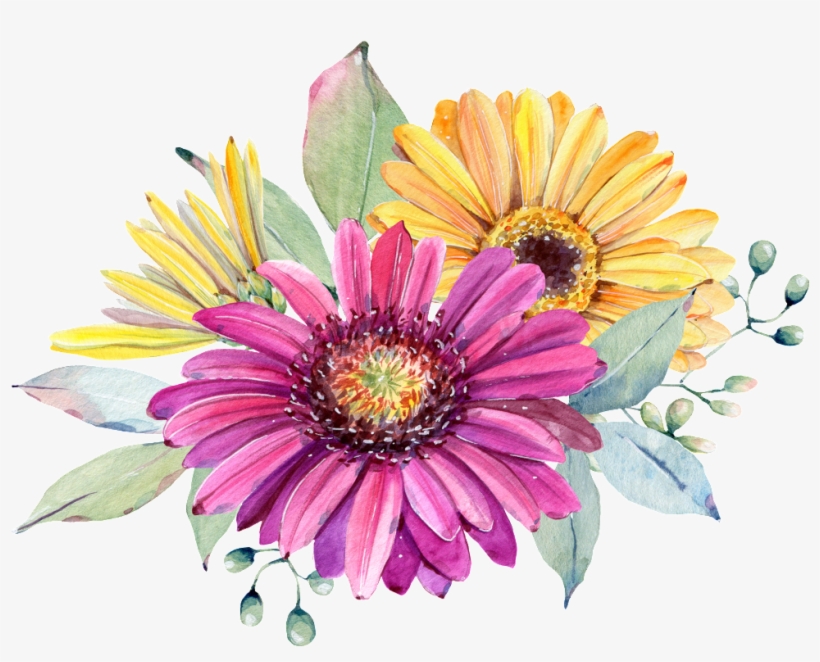 Hand Painted Purple Chrysanthemum Png Transparent - Watercolor Painting, transparent png download