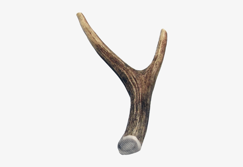 Grab The Horns - Boss Pet Large Antler Dog Chew (99889) 10 Each, transparent png download