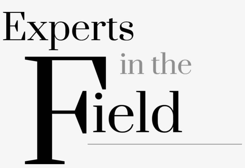 Experts In The Field - Basi Insurance Services, transparent png download