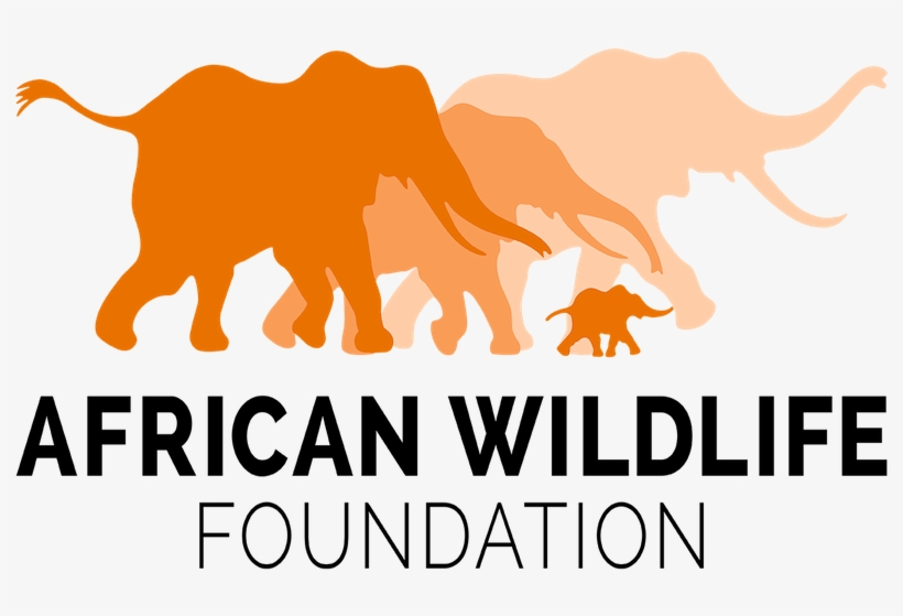 A Place Without People - American Wildlife Foundation, transparent png download