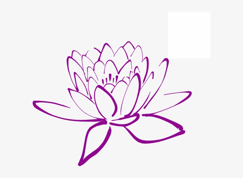 Magnolia Flower Clip Art - Purple Magnolia Clip Art, transparent png download