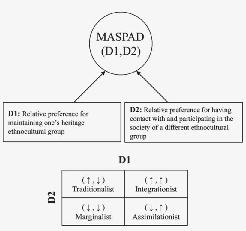Conceptual Interpretation Of The Measurement Of Acculturation - Acculturation, transparent png download