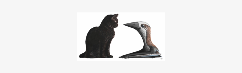 Was This Flying Critter The Ptiniest Pterosaur Of The - Small Pterosaur, transparent png download