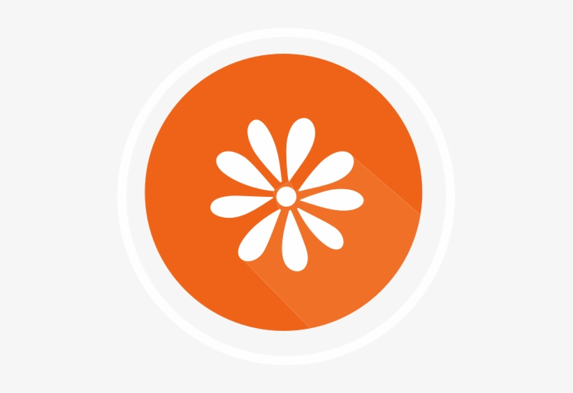 Express Joy, Optimism And Gratitude Through Our Words, - St Patrick's Day Care Bear, transparent png download