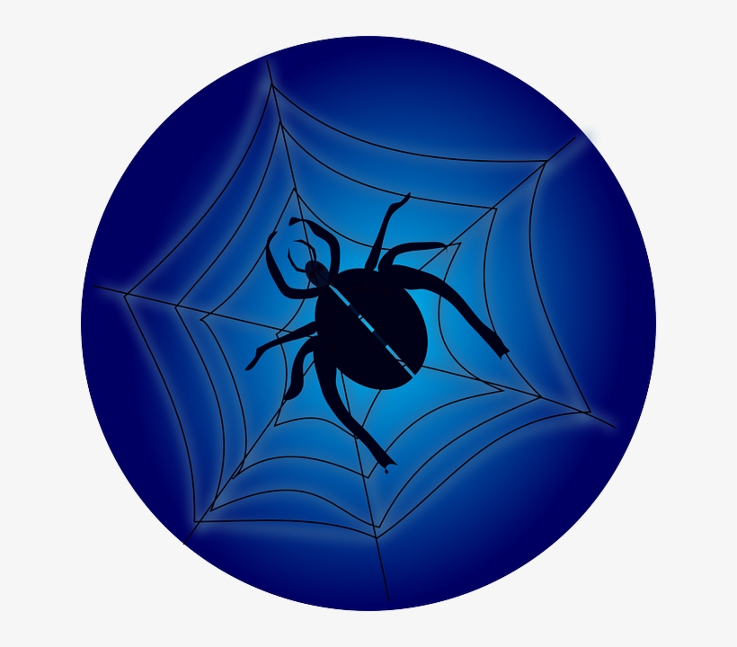 Crawl, Insect, Spider, Web, Spiderweb, Cobweb - Arachnophobia, transparent png download